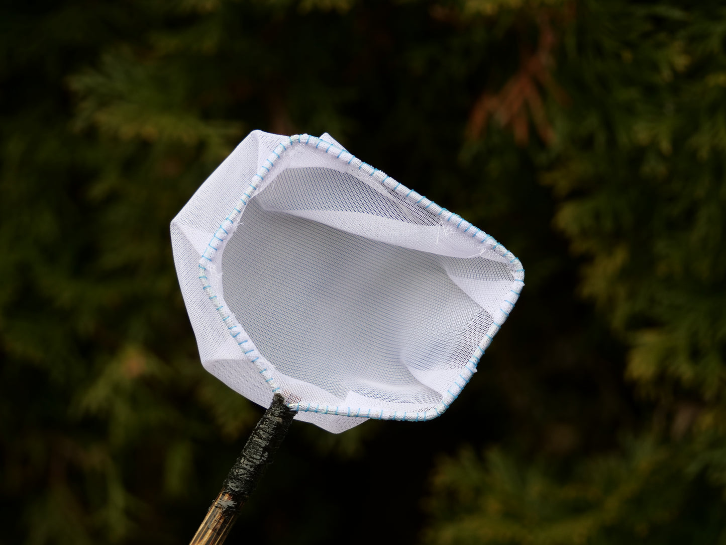 Kescher mit feinem Netz