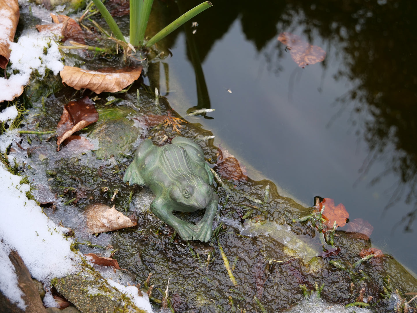 Messingfrosch am Wasser – Dekorative Froschfigur aus Messing, platziert am Rand eines Teiches, teilweise von Schnee umgeben.