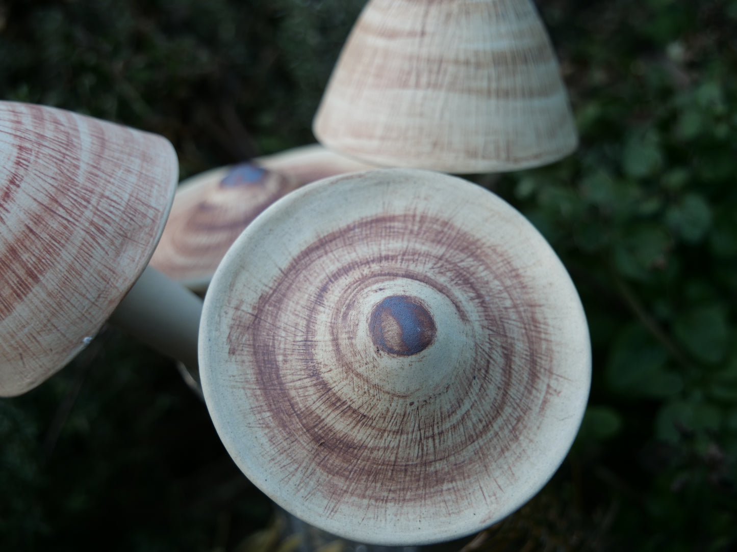 Keramik-Pilz-Set aus der Vogelperspektive, rustikale Gartenfigur mit feiner Maserung und natürlichem Look