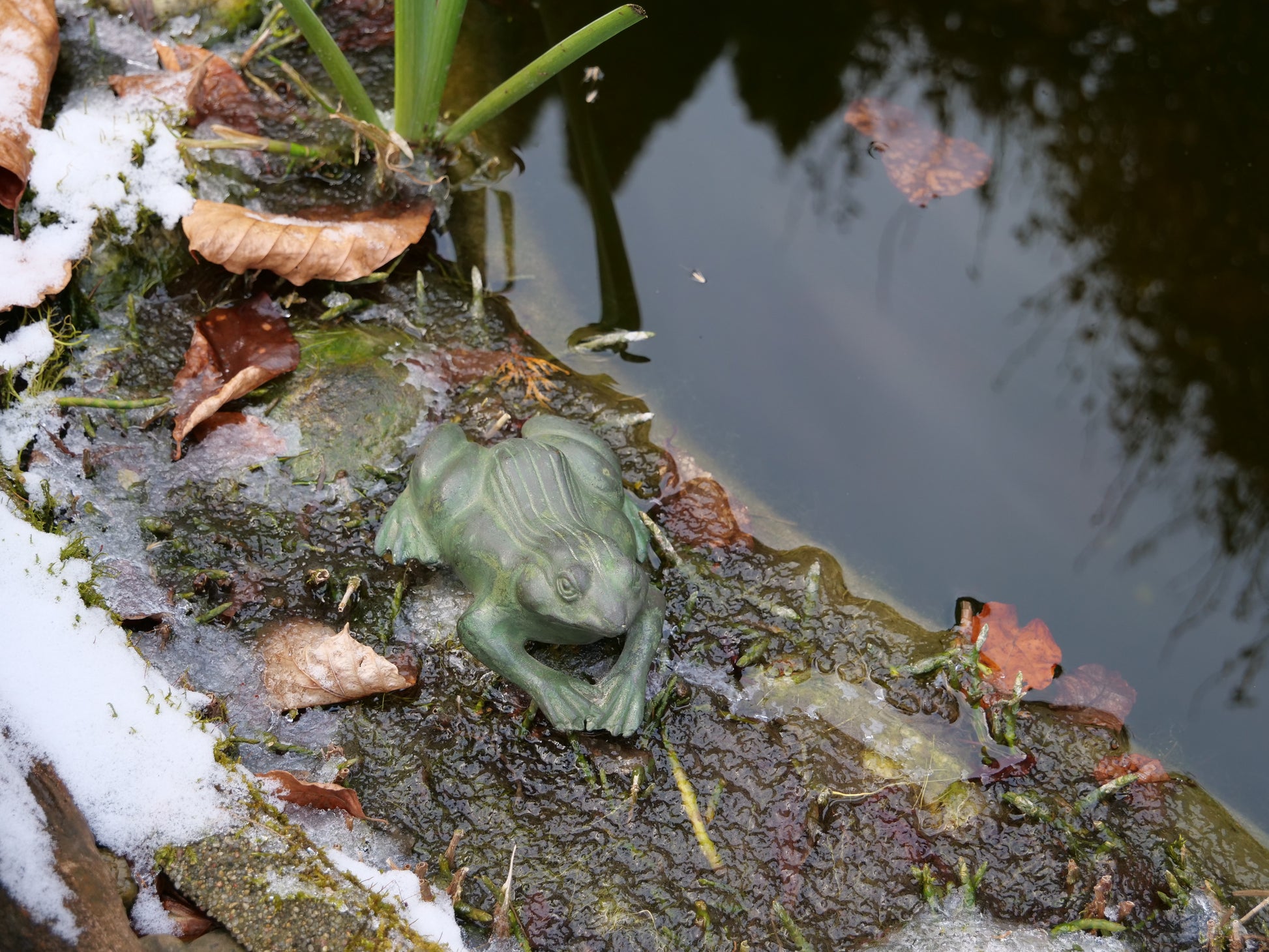 Messingfrosch am Wasser – Dekorative Froschfigur aus Messing, platziert am Rand eines Teiches, teilweise von Schnee umgeben.