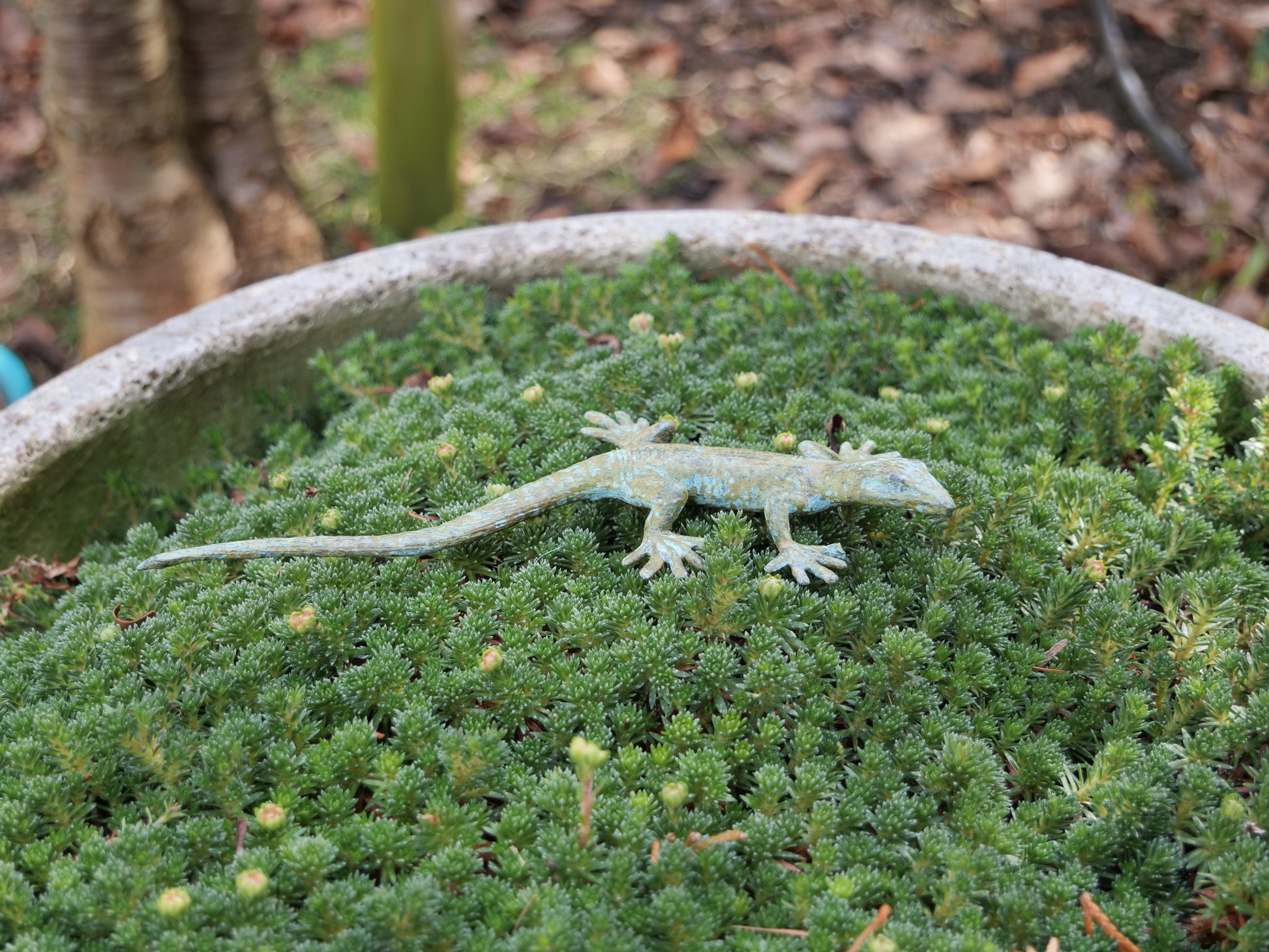 Messing-Gecko auf dichtem, grünem Moos, harmonische Dekoration für Garten und Balkon.